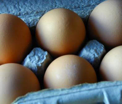 organic brown eggs